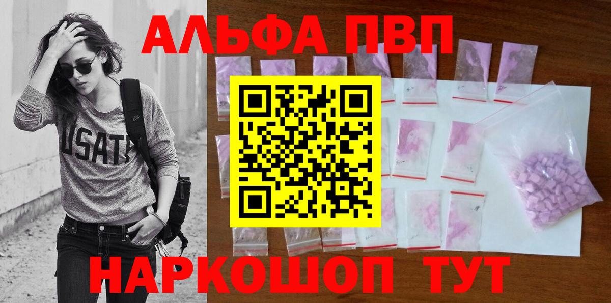 A PVP СК Зеленогорск