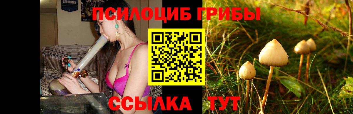 Псилоцибиновые грибы Magic Shrooms  Вход с VPN  Зеленогорск  Галлюциногенные грибы мухоморы 